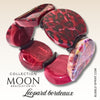 KIT bracelet collection MOON - Léopard bordeaux
