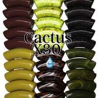 Camaieu 27- Lot mixte tubes incurvés Cactus 12MM